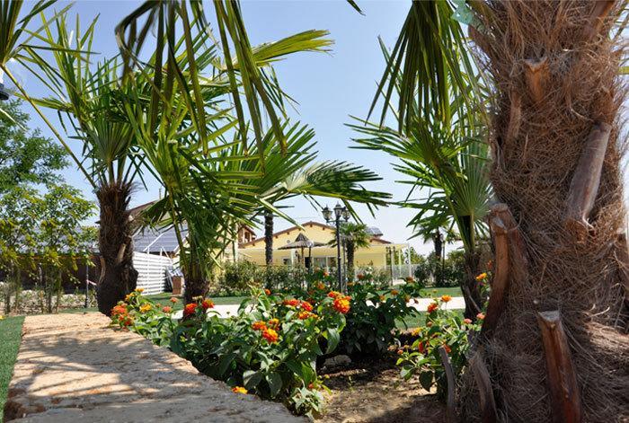 Locanda Del Lupo ฟาเอนซา ภายนอก รูปภาพ